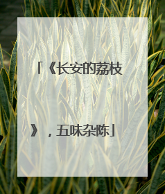 《长安的荔枝》，五味杂陈