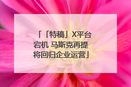 「特稿」X平台宕机 马斯克再提将回归企业运营