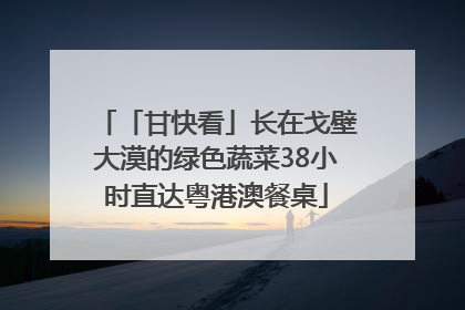 「甘快看」长在戈壁大漠的绿色蔬菜38小时直达粤港澳餐桌