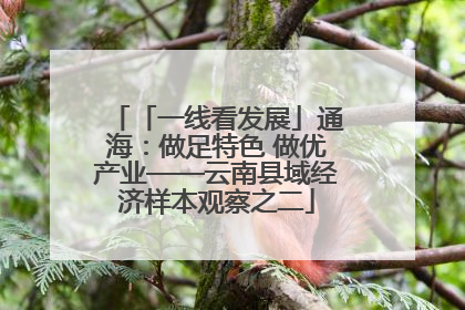 「一线看发展」通海：做足特色 做优产业——云南县域经济样本观察之二