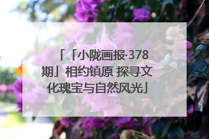 「小陇画报·378期」相约镇原 探寻文化瑰宝与自然风光