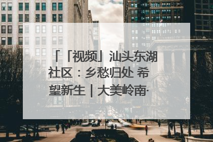 「视频」汕头东湖社区：乡愁归处 希望新生｜大美岭南·百村焕新记