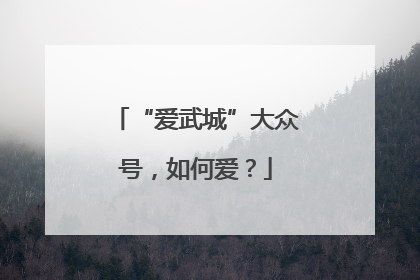 “爱武城”大众号，如何爱？