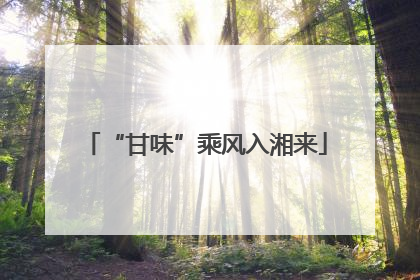 “甘味”乘风入湘来