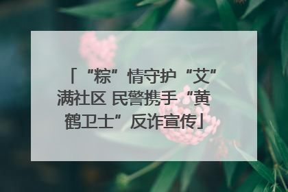 “粽”情守护“艾”满社区 民警携手“黄鹤卫士”反诈宣传
