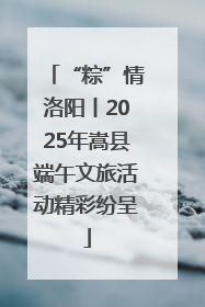 “粽”情洛阳丨2025年嵩县端午文旅活动精彩纷呈