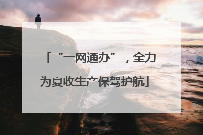 “一网通办”，全力为夏收生产保驾护航