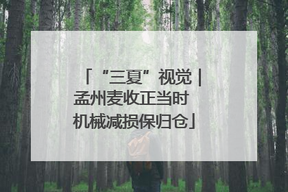 “三夏”视觉｜孟州麦收正当时 机械减损保归仓