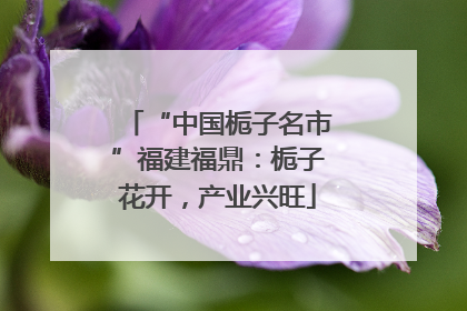 “中国栀子名市”福建福鼎：栀子花开，产业兴旺
