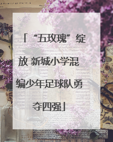 “五玫瑰”绽放 新城小学混编少年足球队勇夺四强
