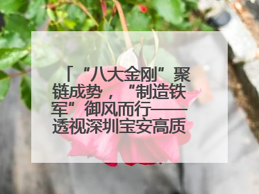 “八大金刚”聚链成势，“制造铁军”御风而行——透视深圳宝安高质量发展新活力