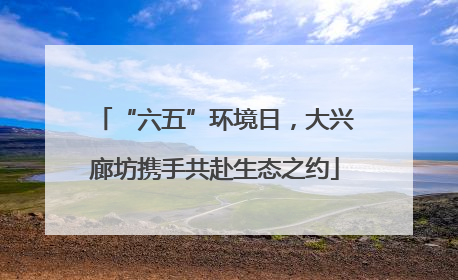 “六五”环境日，大兴廊坊携手共赴生态之约