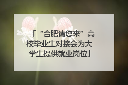 “合肥请您来”高校毕业生对接会为大学生提供就业岗位