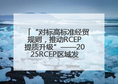 “对标高标准经贸规则，推动RCEP提质升级”——2025RCEP区域发展媒体智库论坛举行专题对话