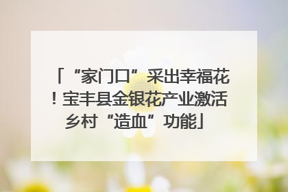 “家门口”采出幸福花！宝丰县金银花产业激活乡村“造血”功能