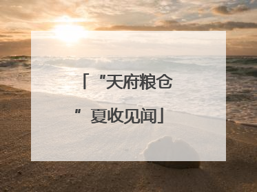 “天府粮仓”夏收见闻