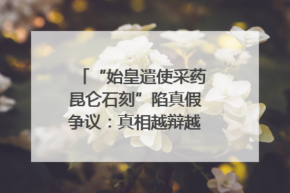 “始皇遣使采药昆仑石刻”陷真假争议：真相越辩越明｜新京报专栏