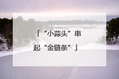 “小蒜头”串起“金链条”