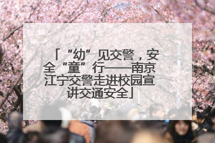 “幼”见交警，安全“童”行——南京江宁交警走进校园宣讲交通安全