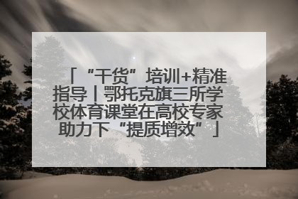 “干货”培训+精准指导丨鄂托克旗三所学校体育课堂在高校专家助力下“提质增效”