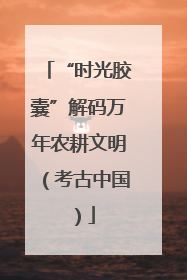 “时光胶囊”解码万年农耕文明（考古中国）