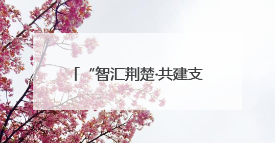 “智汇荆楚·共建支点” 我为湖北“十五五”规划建言献策
