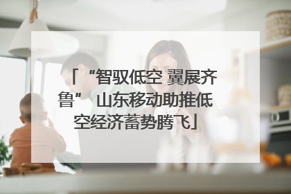 “智驭低空 翼展齐鲁” 山东移动助推低空经济蓄势腾飞