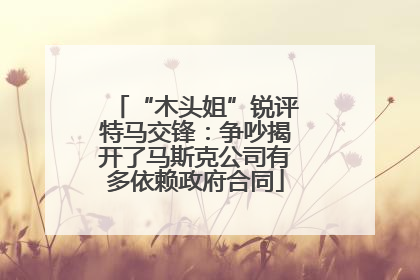 “木头姐”锐评特马交锋：争吵揭开了马斯克公司有多依赖政府合同