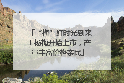 “梅”好时光到来！杨梅开始上市，产量丰富价格亲民