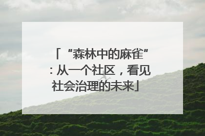 “森林中的麻雀”：从一个社区，看见社会治理的未来