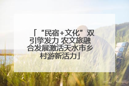 “民宿+文化”双引擎发力 农文旅融合发展激活天水市乡村游新活力
