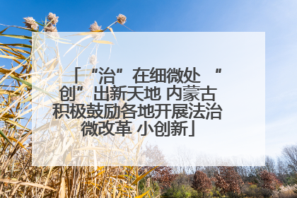 “治”在细微处 “创”出新天地 内蒙古积极鼓励各地开展法治微改革 小创新