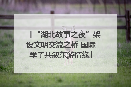 “湖北故事之夜”架设文明交流之桥 国际学子共叙东游情缘