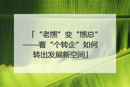 “老熊”变“熊总”——看“个转企”如何转出发展新空间