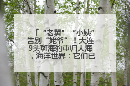 “老舅”“小姨”告别“姥爷”！大连9头斑海豹重归大海，海洋世界：它们已具备野外生存能力