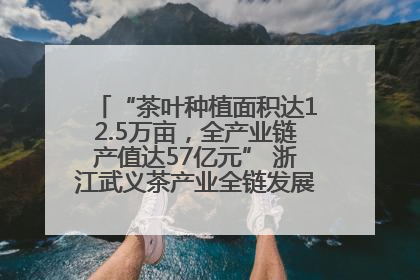 “茶叶种植面积达12.5万亩，全产业链产值达57亿元” 浙江武义茶产业全链发展“加速度”