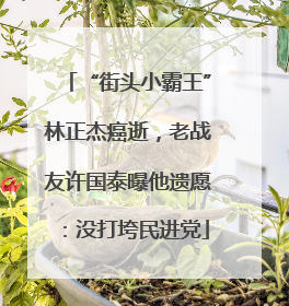 “街头小霸王”林正杰癌逝，老战友许国泰曝他遗愿：没打垮民进党