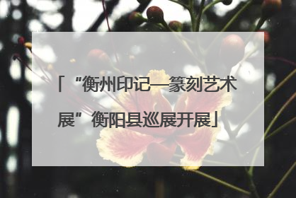 “衡州印记—篆刻艺术展”衡阳县巡展开展
