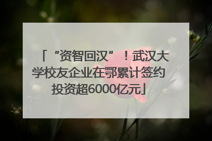 “资智回汉”！武汉大学校友企业在鄂累计签约投资超6000亿元