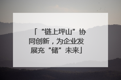 “链上坪山”协同创新，为企业发展充“储”未来