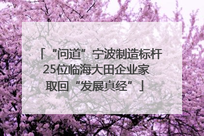 “问道”宁波制造标杆 25位临海大田企业家取回“发展真经”