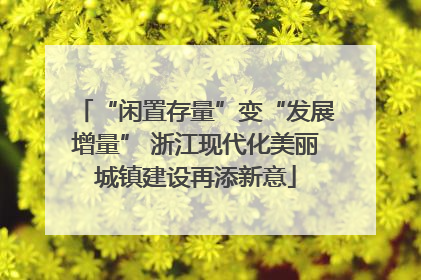 “闲置存量”变“发展增量” 浙江现代化美丽城镇建设再添新意