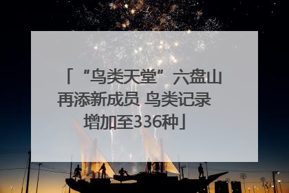 “鸟类天堂”六盘山再添新成员 鸟类记录增加至336种