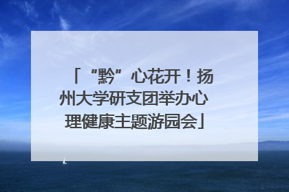 “黔”心花开！扬州大学研支团举办心理健康主题游园会