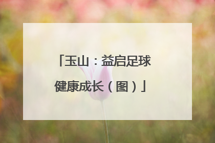 玉山：益启足球 健康成长（图）