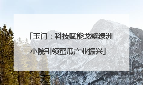 玉门：科技赋能戈壁绿洲 小院引领蜜瓜产业振兴