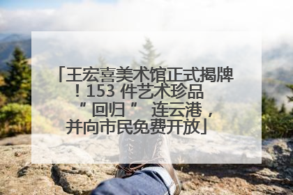 王宏喜美术馆正式揭牌！153 件艺术珍品 “ 回归 ” 连云港，并向市民免费开放