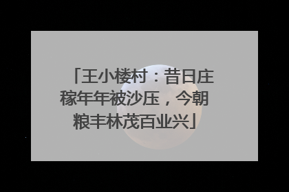 王小楼村：昔日庄稼年年被沙压，今朝粮丰林茂百业兴