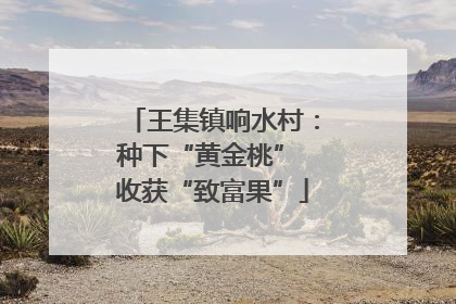 王集镇响水村：种下“黄金桃” 收获“致富果”