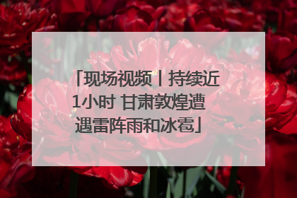 现场视频丨持续近1小时 甘肃敦煌遭遇雷阵雨和冰雹